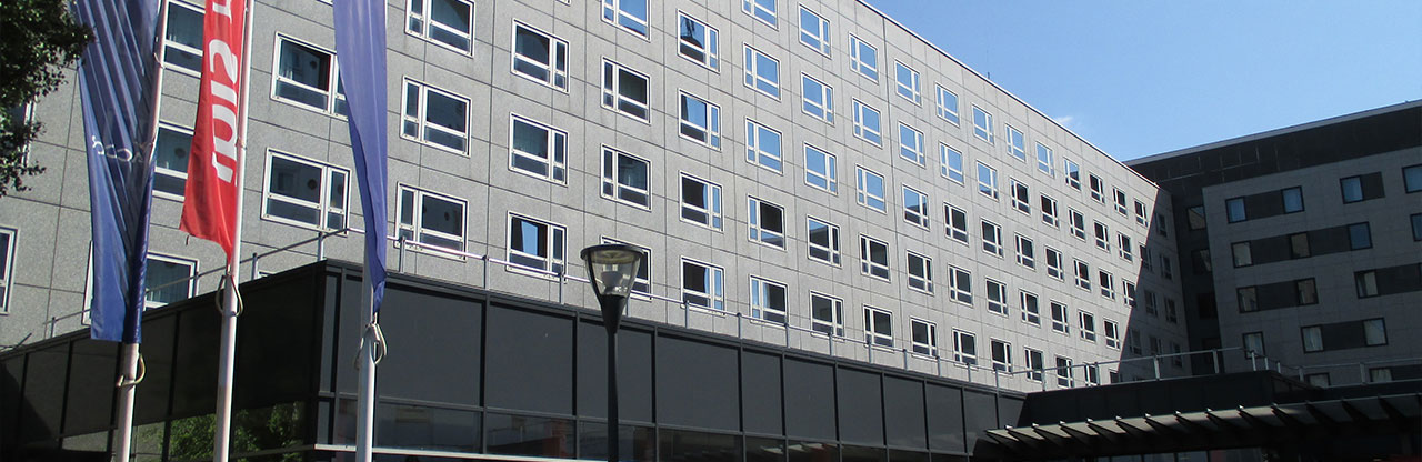 フランス・ジャパンエキスポまとめ