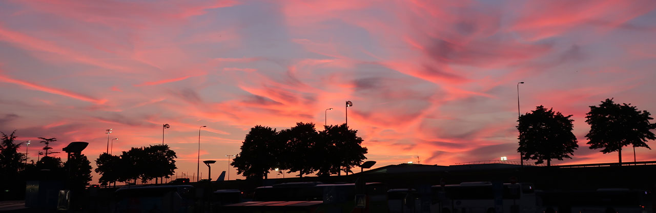 フランス・ジャパンエキスポまとめ